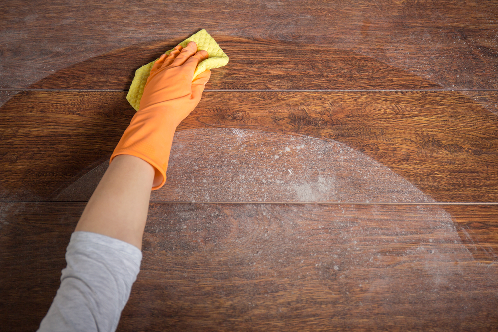 How to eliminate dust from your home
